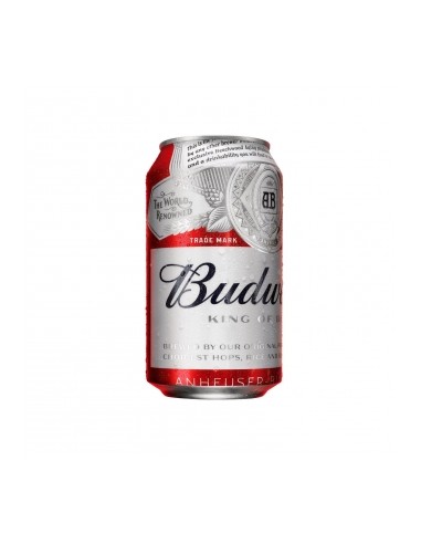 CERVEZA SKOL LATA 33CL 4.6º
