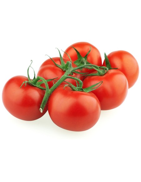 TOMATE RAMA KG