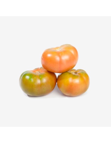TOMATE LISO ENSALADA KG