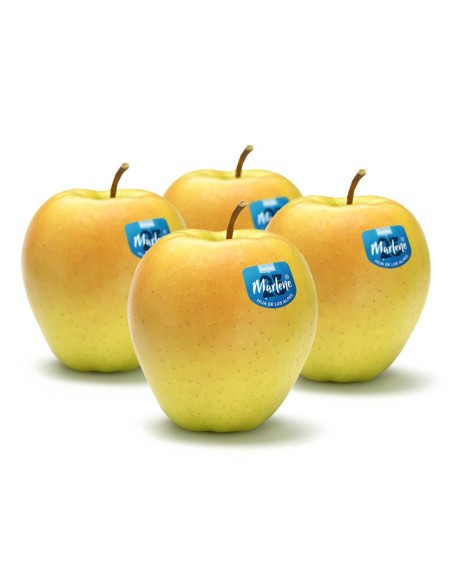 MANZANA GOLDEN MARLENE KG