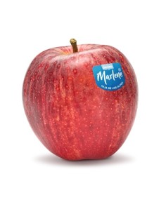 MANZANA ROJA MARLENE KG