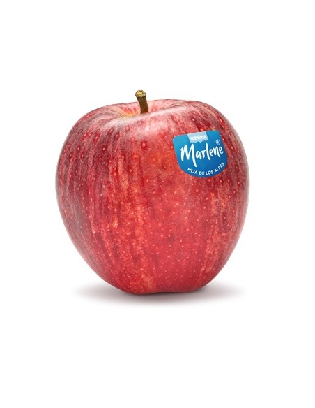 MANZANA ROJA MARLENE KG