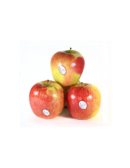 MANZANA AMBROSIA KG