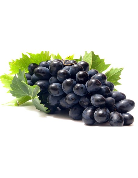 UVAS S/HUESO (berja)