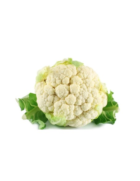 COLIFLOR PIEZA