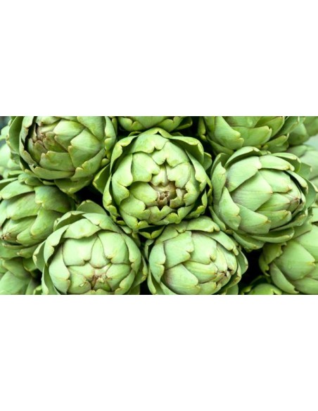 ALCACHOFAS FRESCA KG