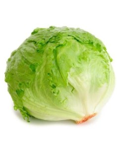 LECHUGA ICEBERG
