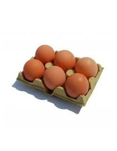OLYMAR HUEVOS  CAMPERO CLASE L 6uni