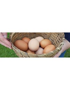 GRANJA GARCIA HUEVO XL P6