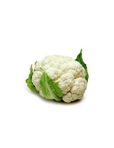 COLIFLOR PIEZA