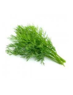 HINOJO FRESCO MANOJO