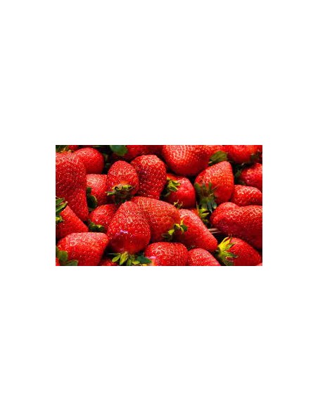 FRESAS TARRINA 