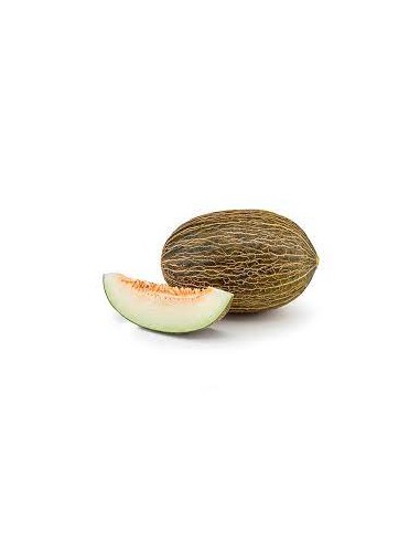 MELON(DON MELON )