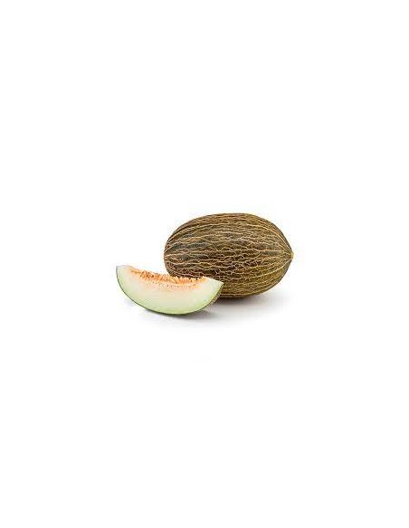 MELON(DON MELON )