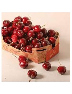 CEREZAS (Abrucena) KG