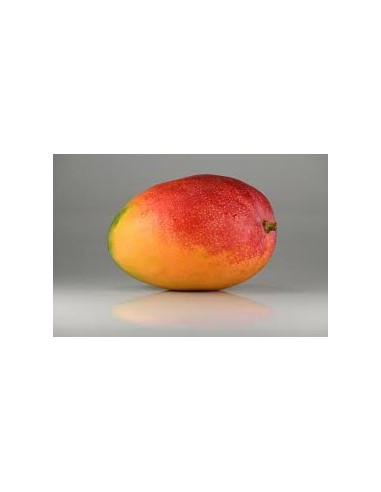 MANGO MINI KG