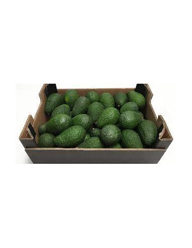 AGUACATE GRANEL KG