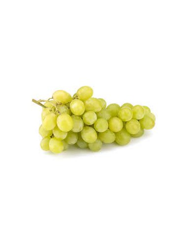 UVA BLANCA ITALIANA