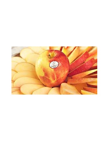 MANZANA AMBROSIA KG