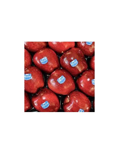 MANZANA ROJA MARLENE KG