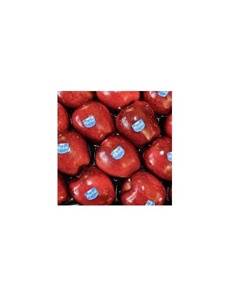 MANZANA ROJA MARLENE KG