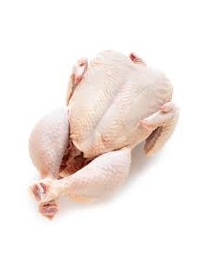 POLLO FRESCO KG