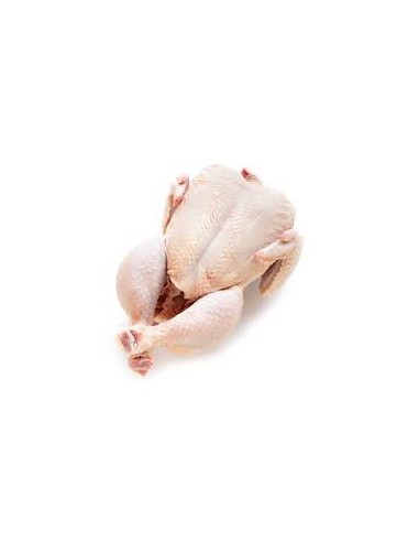 POLLO FRESCO KG