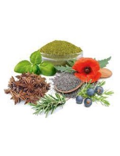 JAUJA ESPECIAS HIERBABUENA