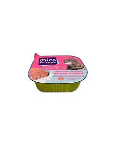 COMIDA MIC&FR.GATOS SALM.100G
