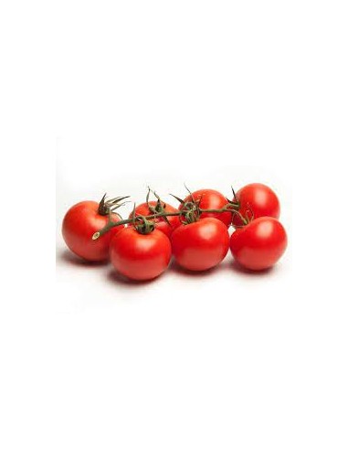 TOMATE RAMA KG