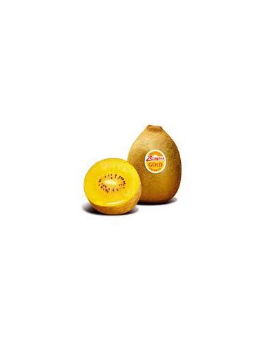 KIWI ZESPRI GOLD KG